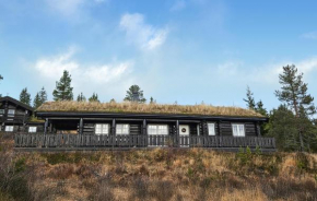 Amazing Home In Nissedal With Wifi